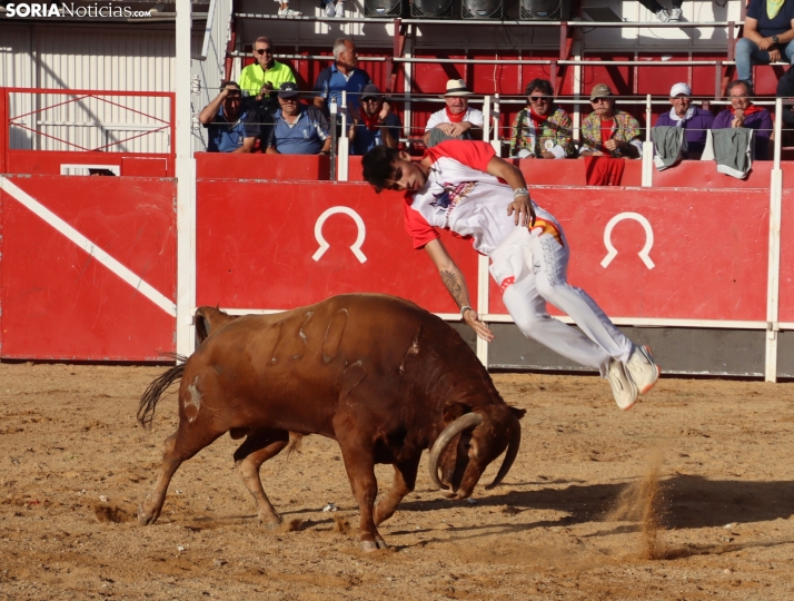 Una imagen de la tarde en la plaza de toros olvegueña. /Santos Gómez