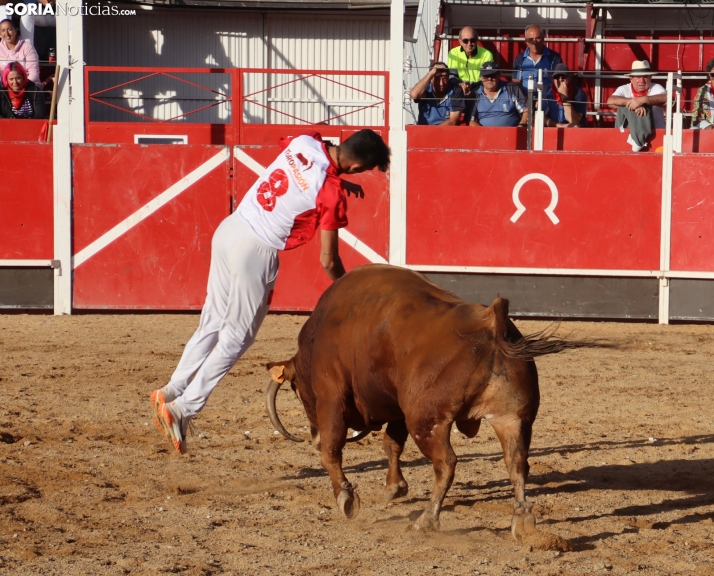 Una imagen de la tarde en la plaza de toros olvegueña. /Santos Gómez