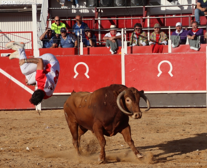 Una imagen de la tarde en la plaza de toros olvegueña. /Santos Gómez