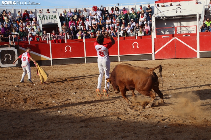 Una imagen de la tarde en la plaza de toros olvegueña. /Santos Gómez