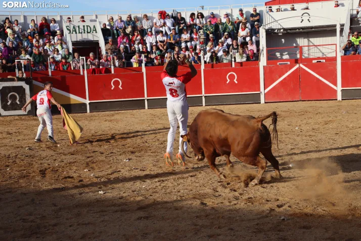 Una imagen de la tarde en la plaza de toros olvegueña. /Santos Gómez