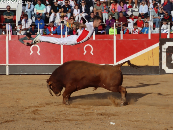 Una imagen de la tarde en la plaza de toros olvegueña. /Santos Gómez