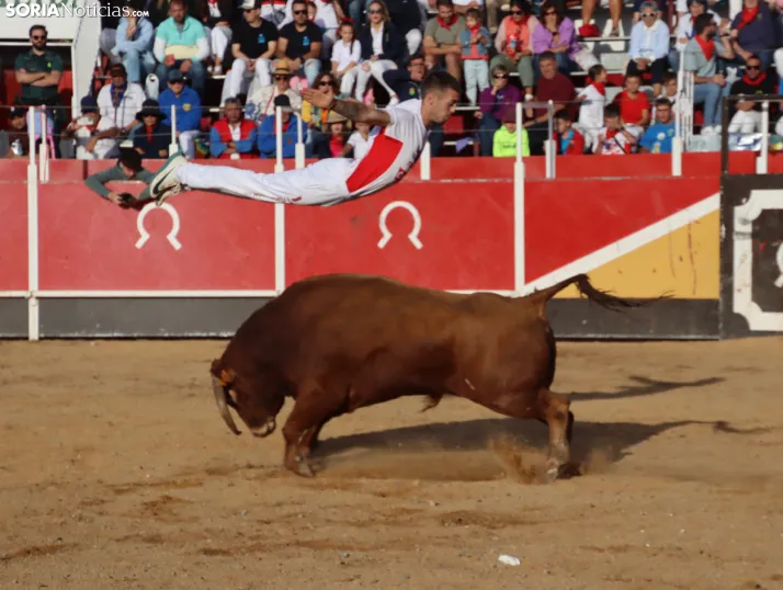 Una imagen de la tarde en la plaza de toros olvegueña. /Santos Gómez