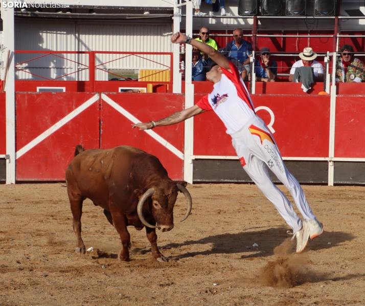 Una imagen de la tarde en la plaza de toros olvegueña. /Santos Gómez