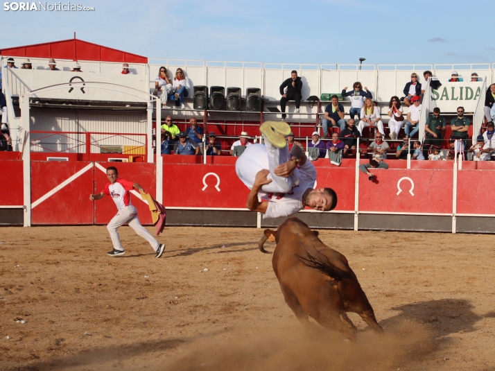 Una imagen de la tarde en la plaza de toros olvegueña. /Santos Gómez