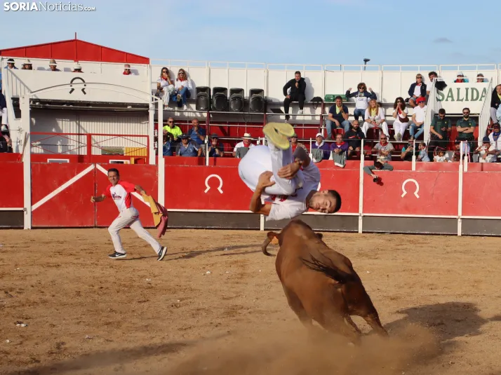 Una imagen de la tarde en la plaza de toros olvegueña. /Santos Gómez