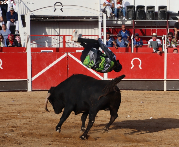 Una imagen de la tarde en la plaza de toros olvegueña. /Santos Gómez