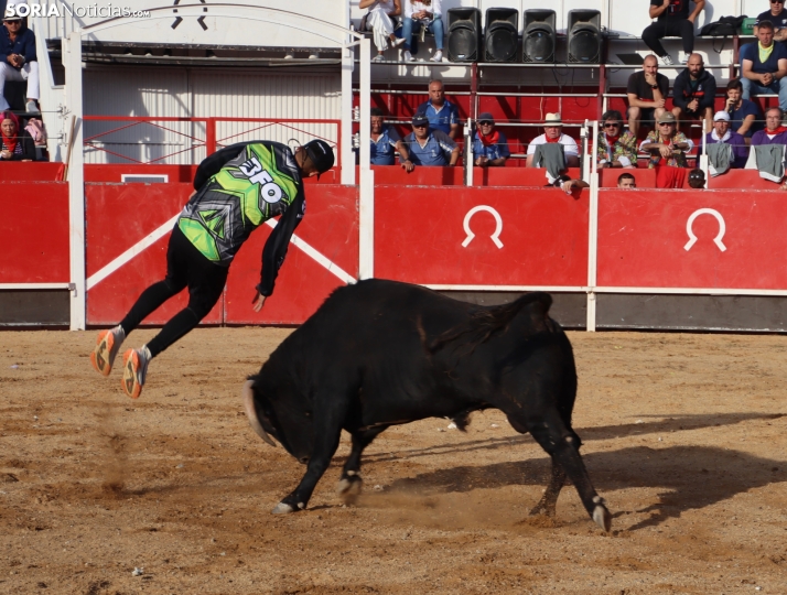 Una imagen de la tarde en la plaza de toros olvegueña. /Santos Gómez