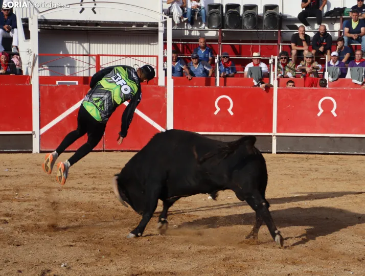 Una imagen de la tarde en la plaza de toros olvegueña. /Santos Gómez