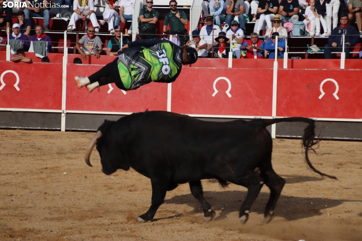 Una imagen de la tarde en la plaza de toros olvegueña. /Santos Gómez