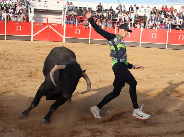 Una imagen de la tarde en la plaza de toros olvegueña. /Santos Gómez