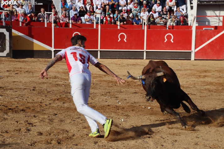 Una imagen de la tarde en la plaza de toros olvegueña. /Santos Gómez