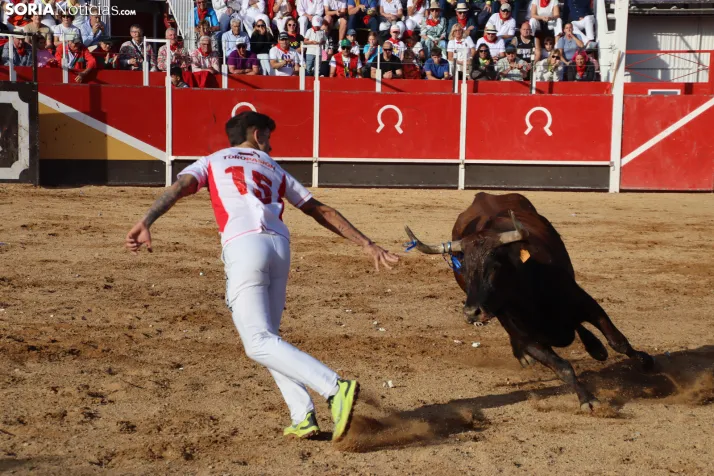 Una imagen de la tarde en la plaza de toros olvegueña. /Santos Gómez