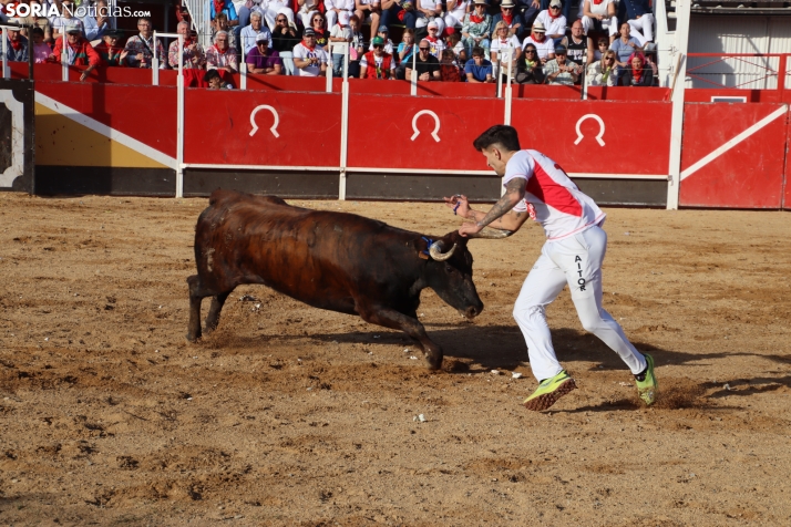 Una imagen de la tarde en la plaza de toros olvegueña. /Santos Gómez
