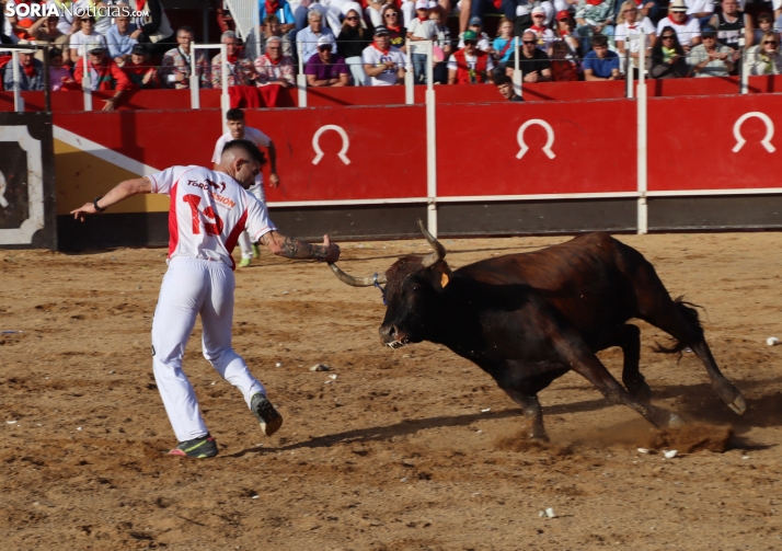 Una imagen de la tarde en la plaza de toros olvegueña. /Santos Gómez
