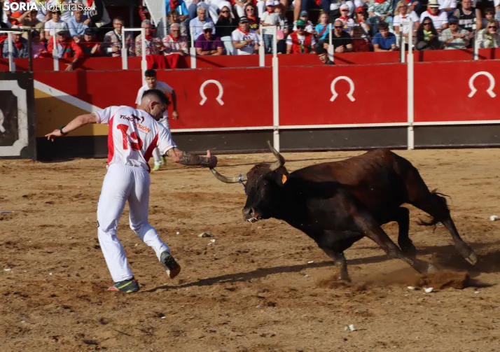 Una imagen de la tarde en la plaza de toros olvegueña. /Santos Gómez