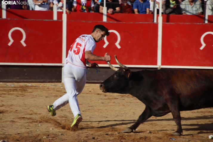 Una imagen de la tarde en la plaza de toros olvegueña. /Santos Gómez