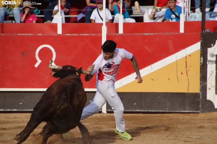 Una imagen de la tarde en la plaza de toros olvegueña. /Santos Gómez