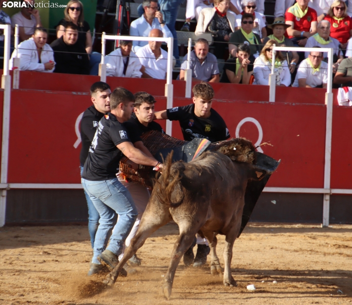Una imagen de la tarde en la plaza de toros olvegueña. /Santos Gómez