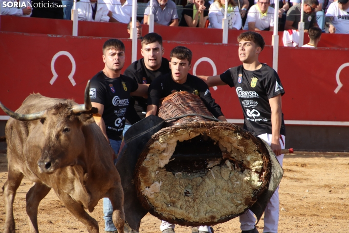 Una imagen de la tarde en la plaza de toros olvegueña. /Santos Gómez