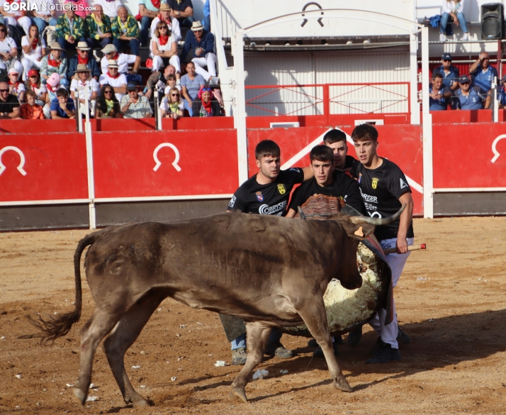 Una imagen de la tarde en la plaza de toros olvegueña. /Santos Gómez