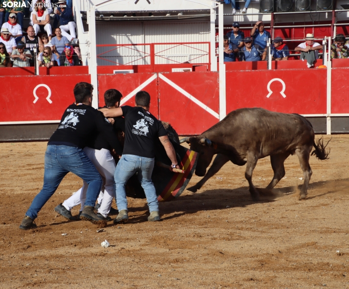 Una imagen de la tarde en la plaza de toros olvegueña. /Santos Gómez