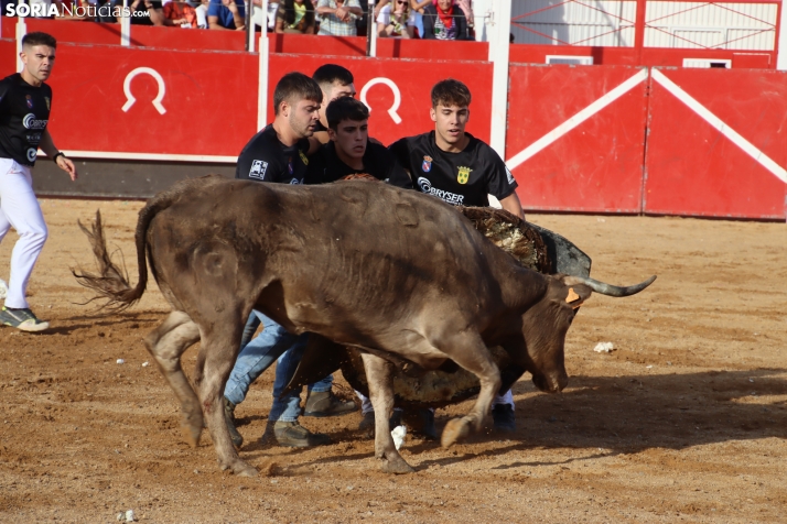 Una imagen de la tarde en la plaza de toros olvegueña. /Santos Gómez