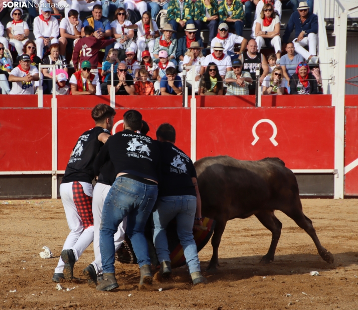 Una imagen de la tarde en la plaza de toros olvegueña. /Santos Gómez