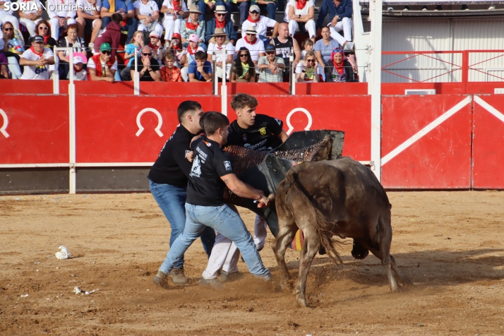 Una imagen de la tarde en la plaza de toros olvegueña. /Santos Gómez