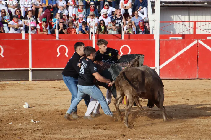 Una imagen de la tarde en la plaza de toros olvegueña. /Santos Gómez