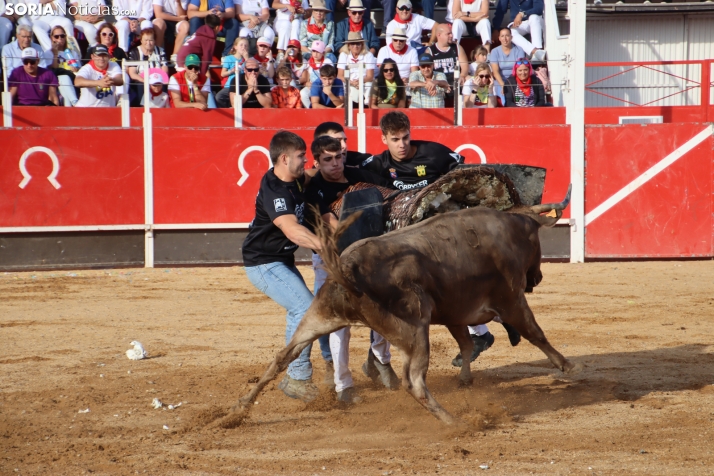 Una imagen de la tarde en la plaza de toros olvegueña. /Santos Gómez
