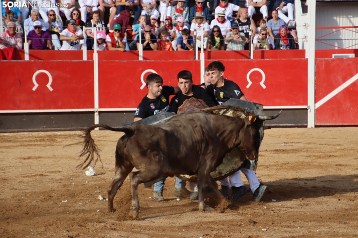 Una imagen de la tarde en la plaza de toros olvegueña. /Santos Gómez