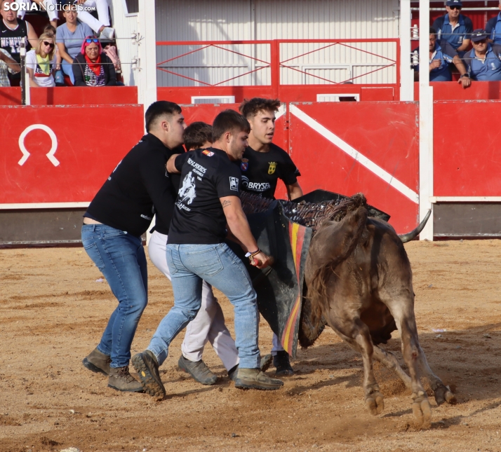 Una imagen de la tarde en la plaza de toros olvegueña. /Santos Gómez