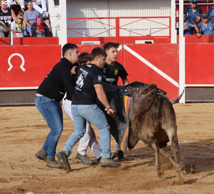 Una imagen de la tarde en la plaza de toros olvegueña. /Santos Gómez