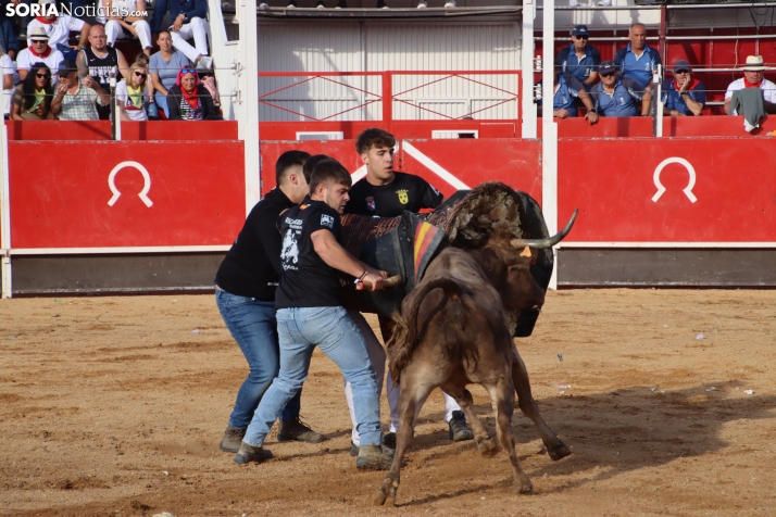 Una imagen de la tarde en la plaza de toros olvegueña. /Santos Gómez