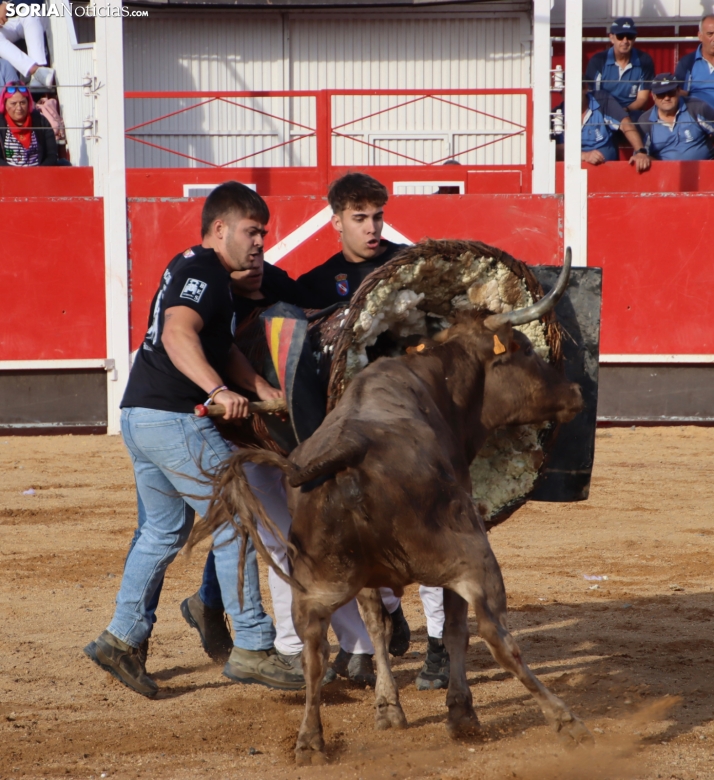 Una imagen de la tarde en la plaza de toros olvegueña. /Santos Gómez