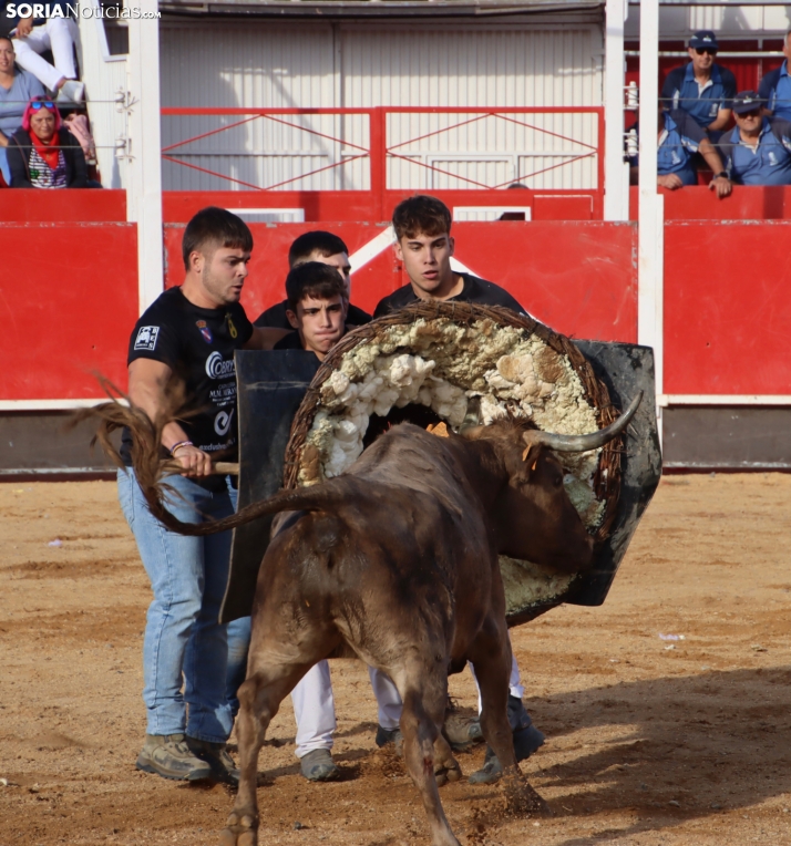 Una imagen de la tarde en la plaza de toros olvegueña. /Santos Gómez