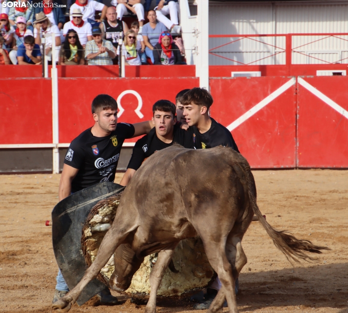 Una imagen de la tarde en la plaza de toros olvegueña. /Santos Gómez