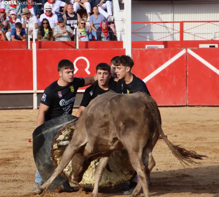 Una imagen de la tarde en la plaza de toros olvegueña. /Santos Gómez