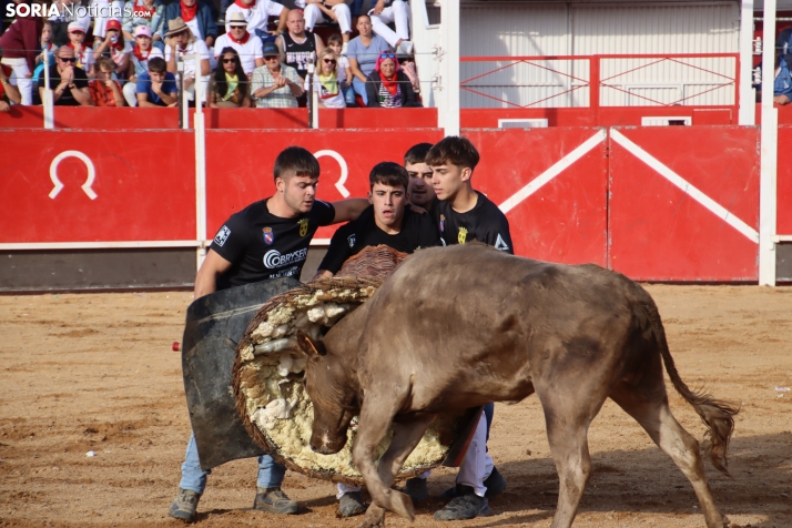 Una imagen de la tarde en la plaza de toros olvegueña. /Santos Gómez