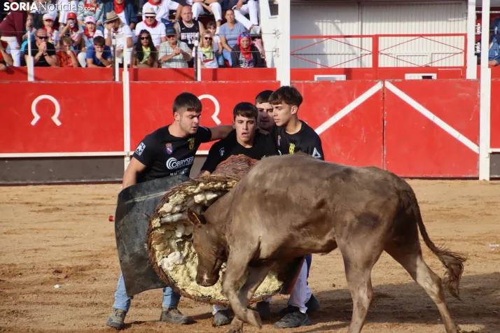 Una imagen de la tarde en la plaza de toros olvegueña. /Santos Gómez