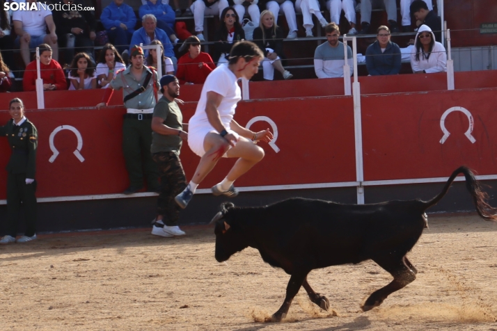 Una imagen de la tarde en la plaza de toros olvegueña. /Santos Gómez