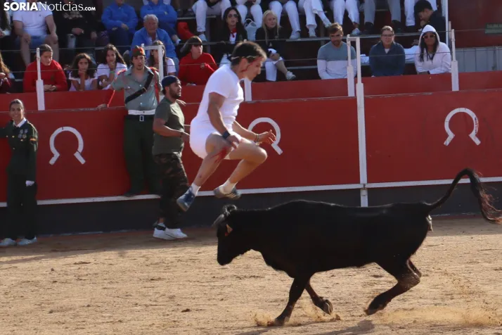 Una imagen de la tarde en la plaza de toros olvegueña. /Santos Gómez