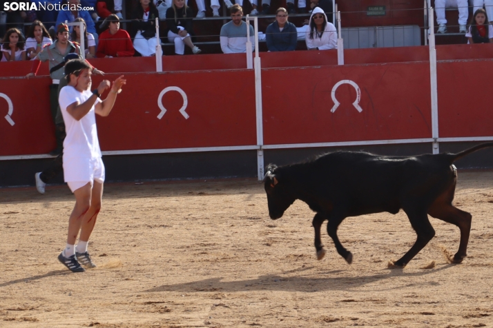 Una imagen de la tarde en la plaza de toros olvegueña. /Santos Gómez