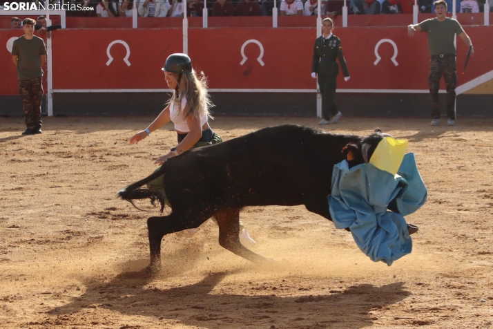 Una imagen de la tarde en la plaza de toros olvegueña. /Santos Gómez