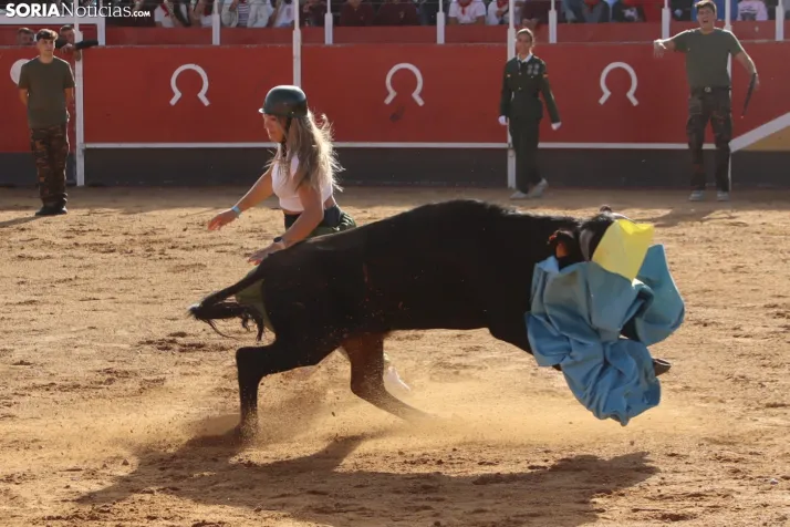 Una imagen de la tarde en la plaza de toros olvegueña. /Santos Gómez