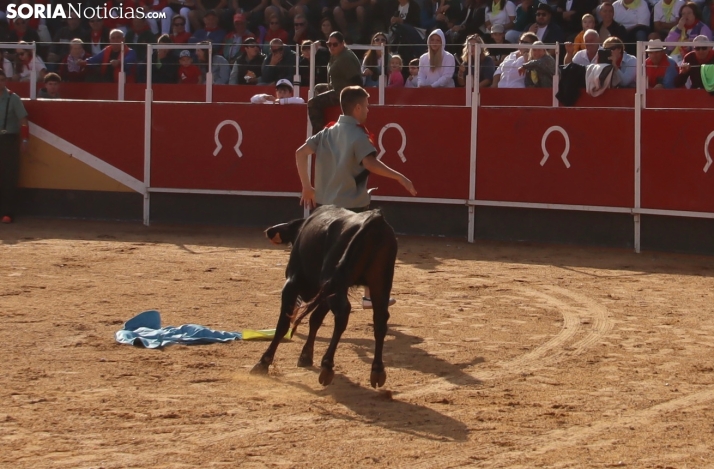 Una imagen de la tarde en la plaza de toros olvegueña. /Santos Gómez