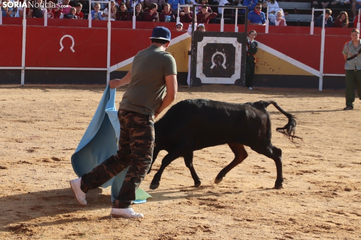 Una imagen de la tarde en la plaza de toros olvegueña. /Santos Gómez