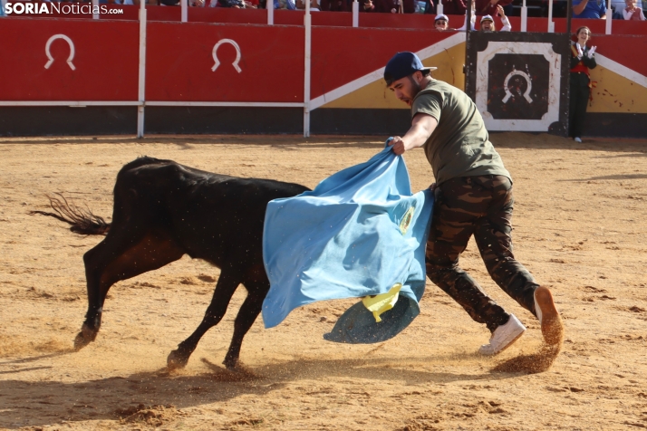 Una imagen de la tarde en la plaza de toros olvegueña. /Santos Gómez