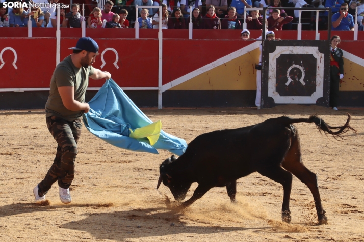 Una imagen de la tarde en la plaza de toros olvegueña. /Santos Gómez